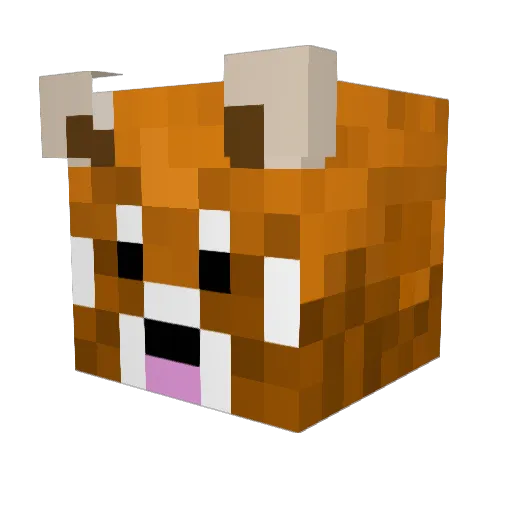 Bacontoast40 Minecraft avatar head, 3D render