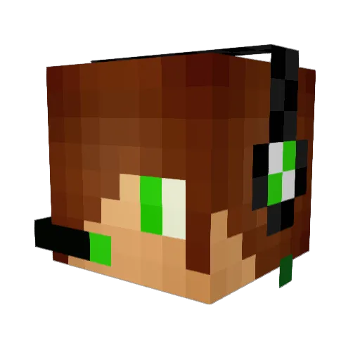 Baconz2003 Minecraft avatar head, 3D render