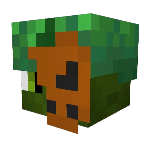 Bactro Minecraft avatar head, 3D render