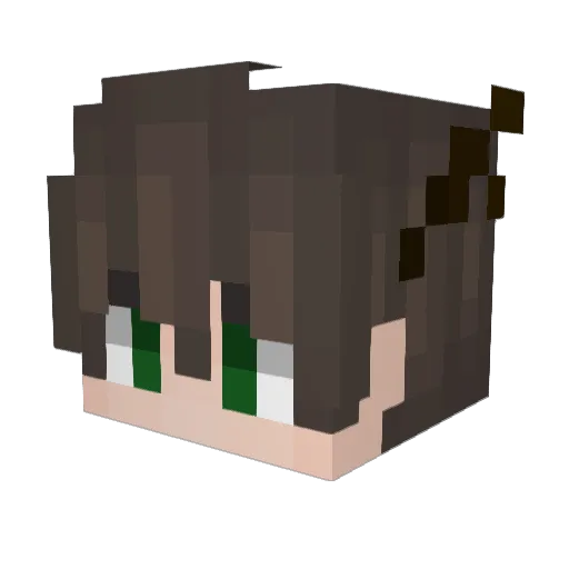 BacunBoy Minecraft avatar head, 3D render