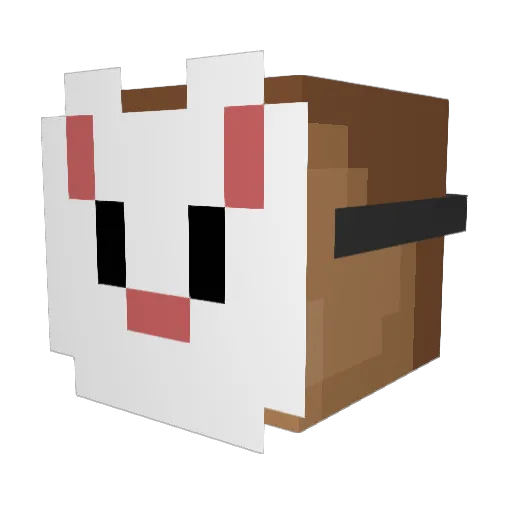 Bacza Minecraft avatar head, 3D render