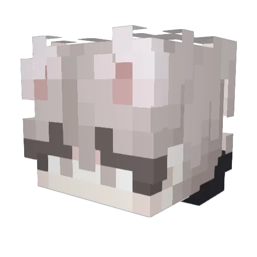 Baczken Minecraft avatar head, 3D render