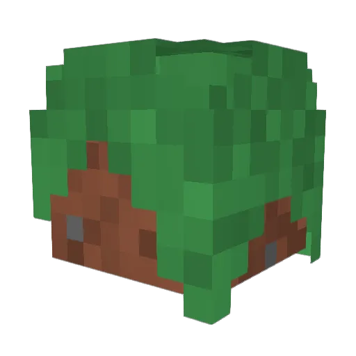 BadBuns48 Minecraft avatar head, 3D render