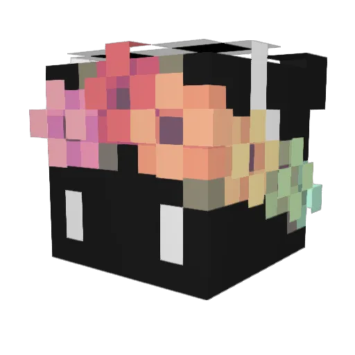 BadBwPlayer40 Minecraft avatar head, 3D render