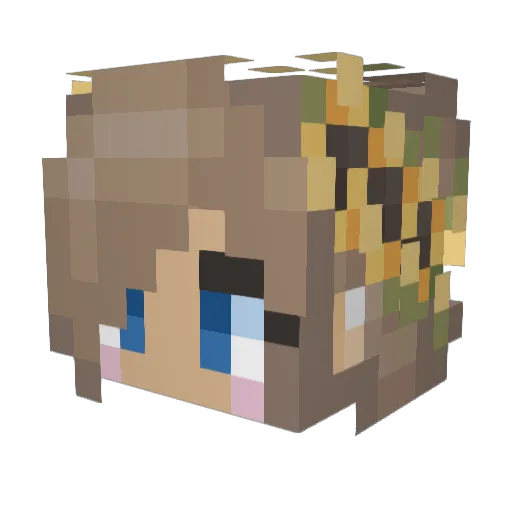 BadCookies Minecraft avatar head, 3D render