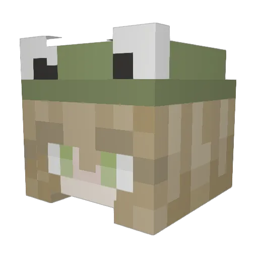 BadDragonXS Minecraft avatar head, 3D render