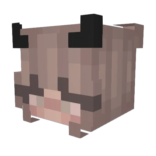 BadKarmaGod Minecraft avatar head, 3D render
