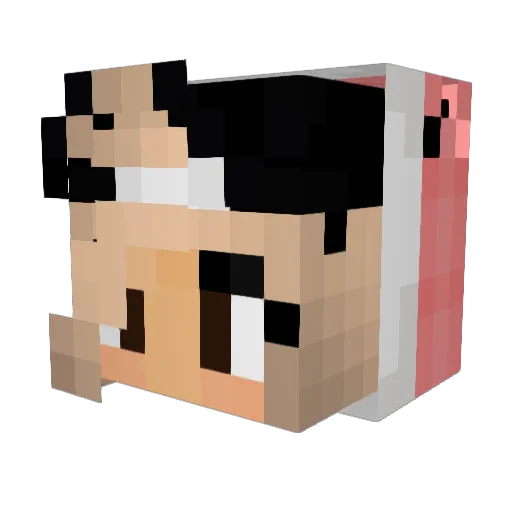 BadKarmaIsHere Minecraft avatar head, 3D render