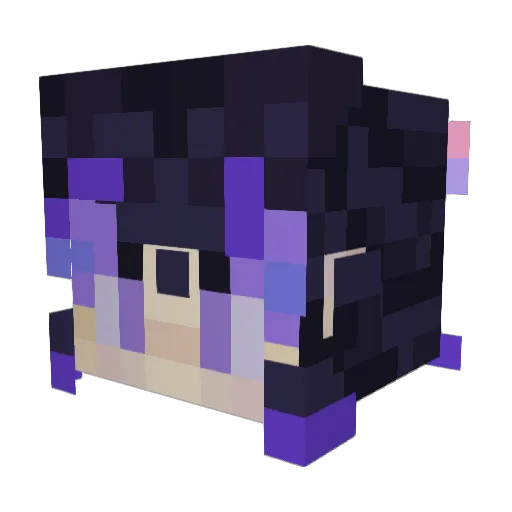 BadMagician1910 Minecraft avatar head, 3D render