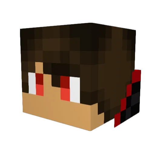 BadNurse2x Minecraft avatar head, 3D render