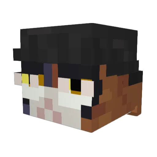 BadParked Minecraft avatar head, 3D render