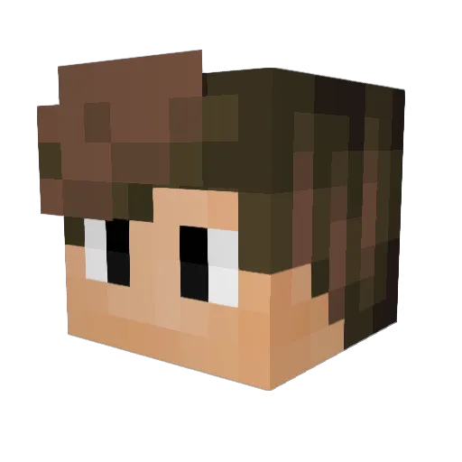 BadPokk Minecraft avatar head, 3D render