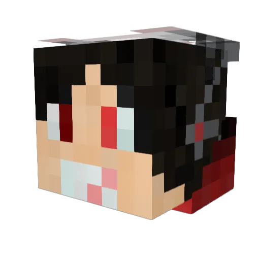 BadVibes_Forever Minecraft avatar head, 3D render