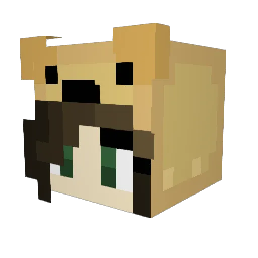 BadWolfDrew Minecraft avatar head, 3D render