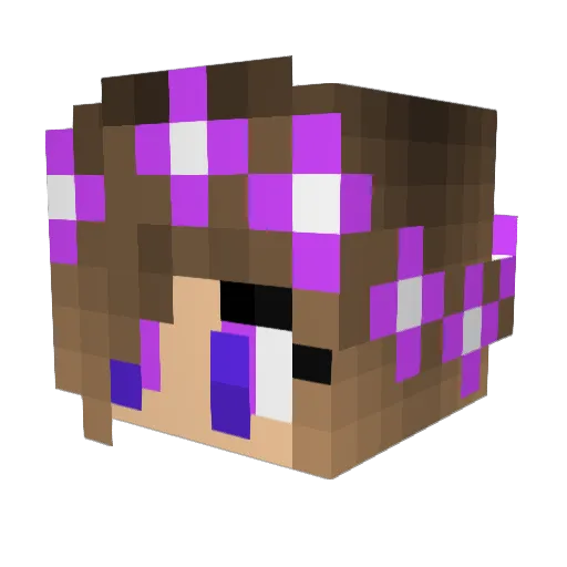 BadWolfSilence Minecraft avatar head, 3D render