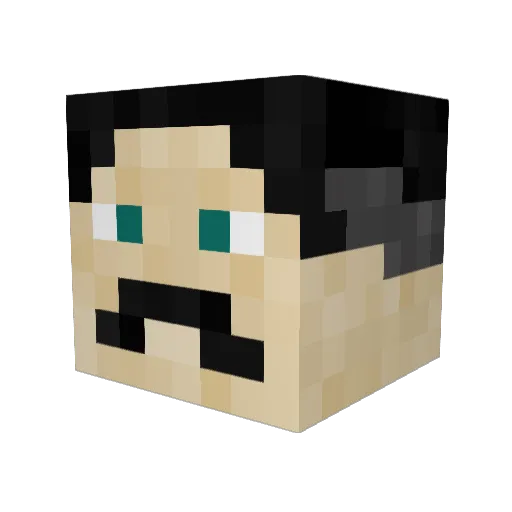 BadWolfy1 Minecraft avatar head, 3D render
