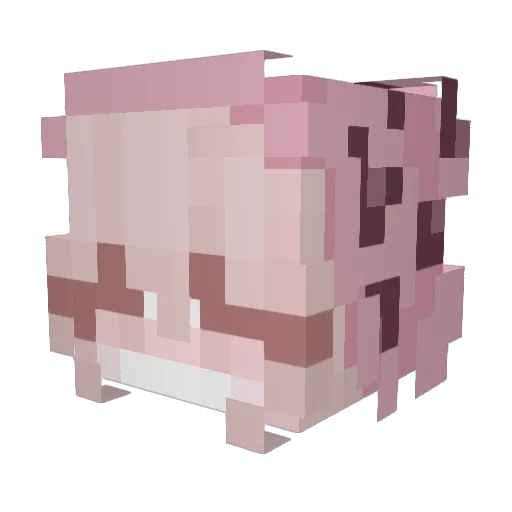 Bad_Anqel Minecraft avatar head, 3D render