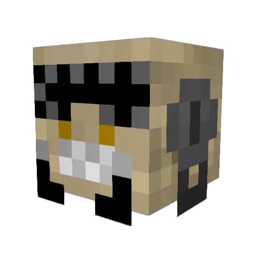 Bad_Host Minecraft avatar head, 3D render