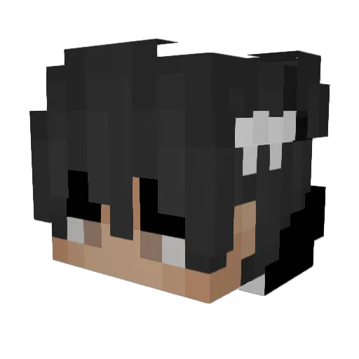 Bad_Knock Minecraft avatar head, 3D render