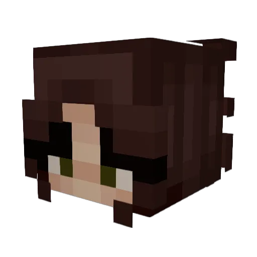 Bad_Maxwell Minecraft avatar head, 3D render