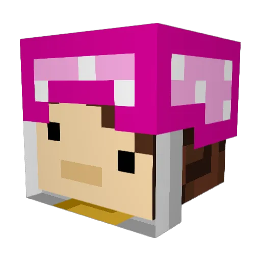 Bad_Namer Minecraft avatar head, 3D render
