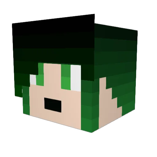 Bad_Wolf0407 Minecraft avatar head, 3D render