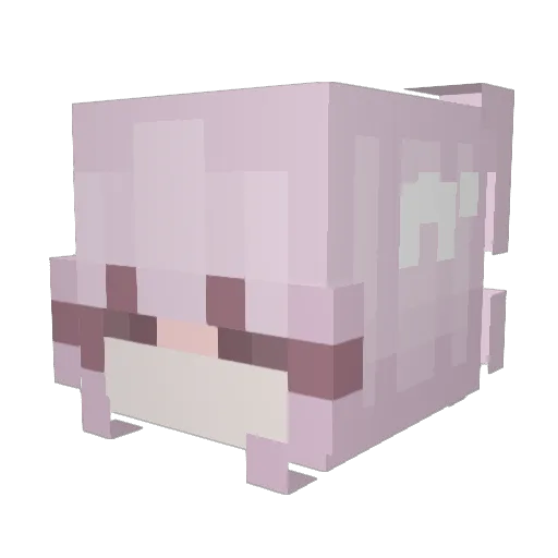 Badao22 Minecraft avatar head, 3D render