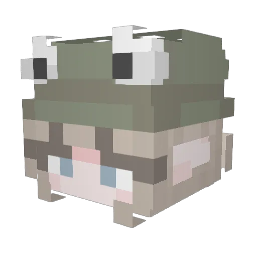 Badbye01 Minecraft avatar head, 3D render
