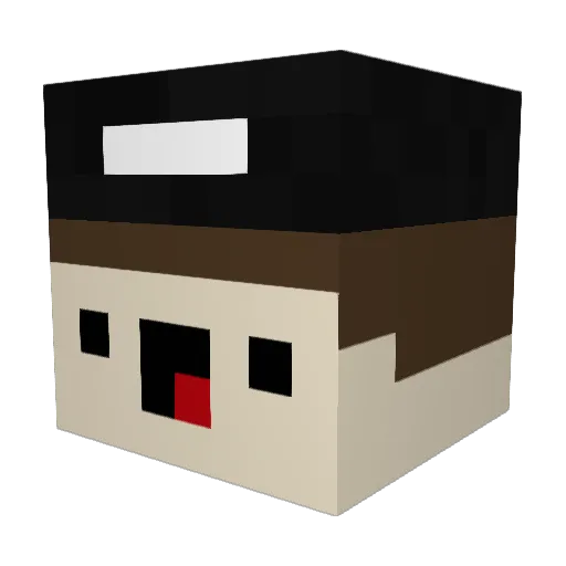 Badcii Minecraft avatar head, 3D render