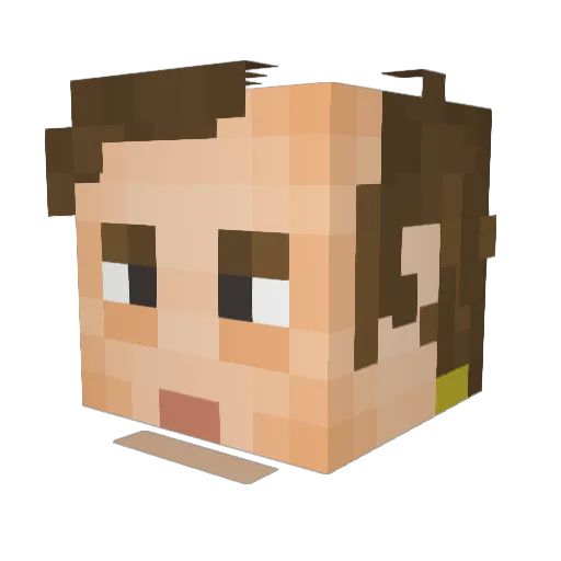 Badco2 Minecraft avatar head, 3D render