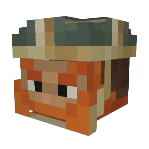 Baddawg050920 Minecraft avatar head, 3D render