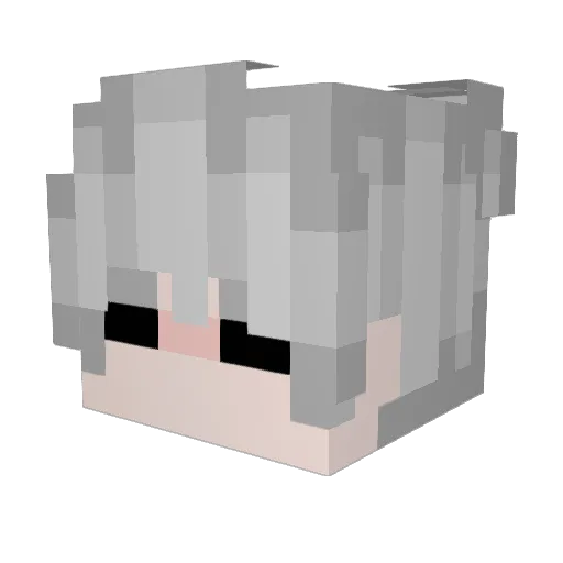 Badderr Minecraft avatar head, 3D render