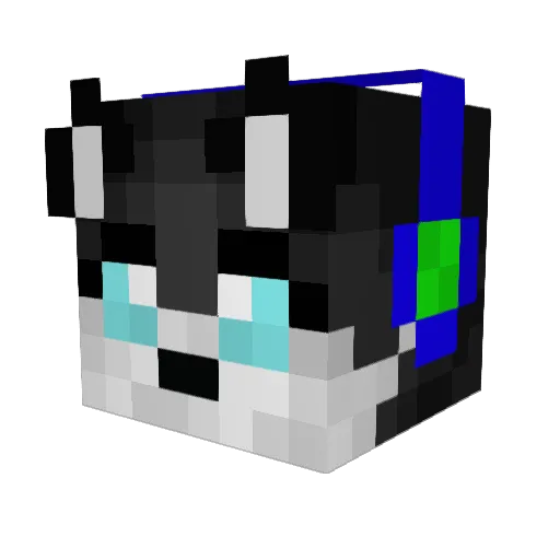 Baddog101 Minecraft avatar head, 3D render