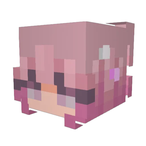 Badekaren Minecraft avatar head, 3D render