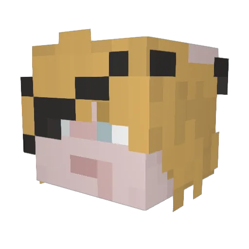 Badeni Minecraft avatar head, 3D render