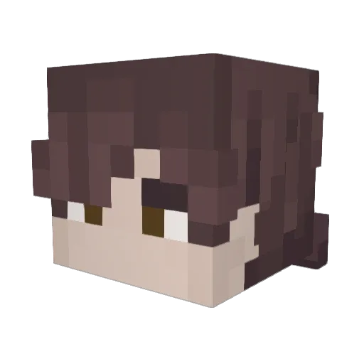 Baderious Minecraft avatar head, 3D render