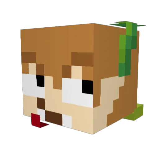 Baderpfulu Minecraft avatar head, 3D render