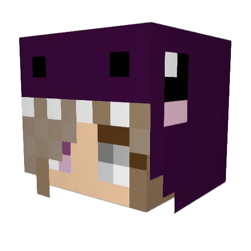 Badfox143 Minecraft avatar head, 3D render