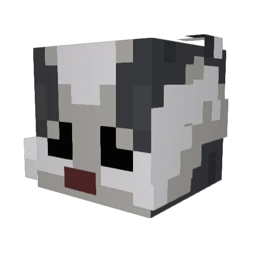BadgerEars Minecraft avatar head, 3D render