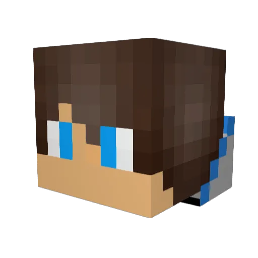 Badgerman88 Minecraft avatar head, 3D render
