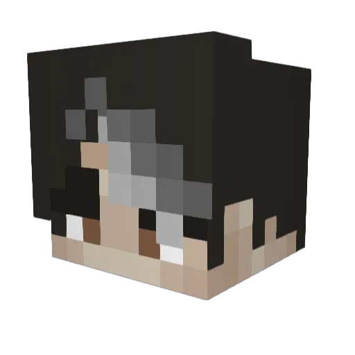 Minecraft-Avatar von Badgers4837: Kopf als 3D-Render