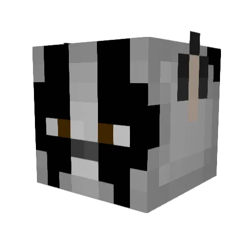 Badgorr Minecraft avatar head, 3D render