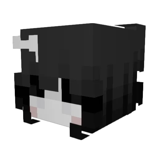 Badhs Minecraft avatar head, 3D render