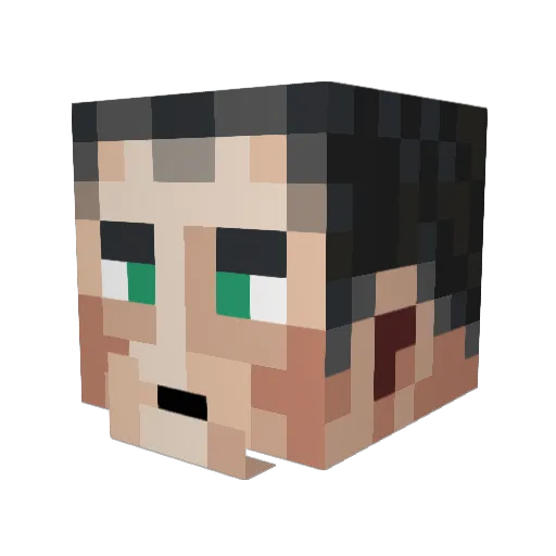 Badusernames_ Minecraft avatar head, 3D render
