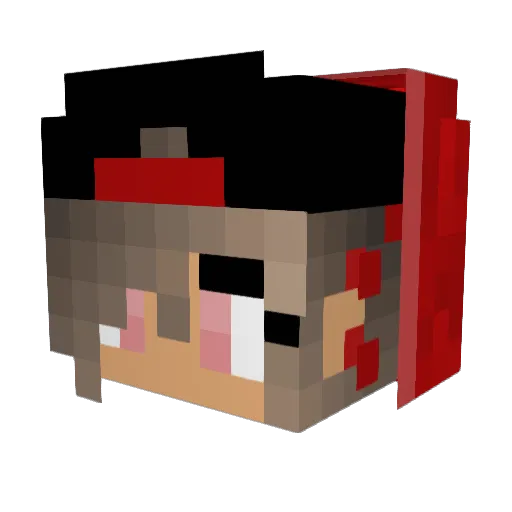 Badwolfy17 Minecraft avatar head, 3D render