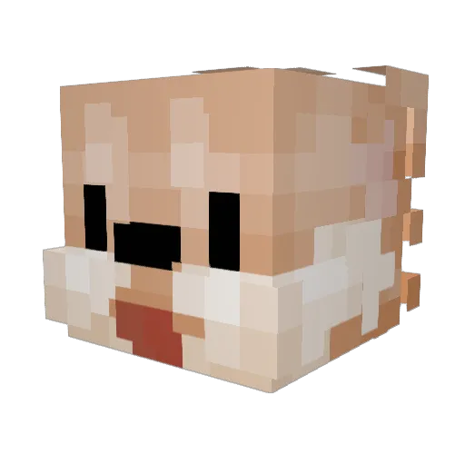 BadyDog Minecraft avatar head, 3D render