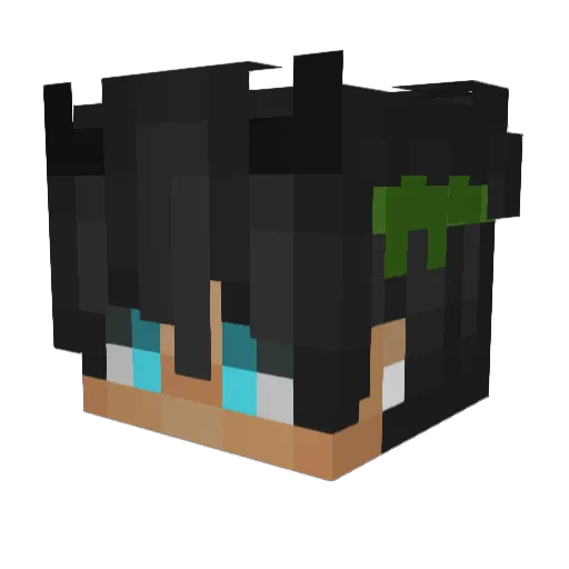 Badzsy99 Minecraft avatar head, 3D render