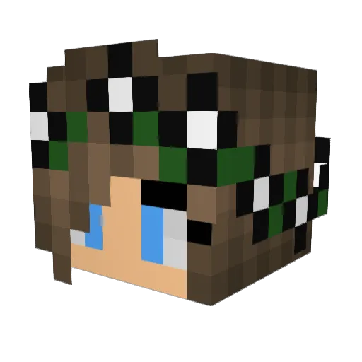 Bae003 Minecraft avatar head, 3D render