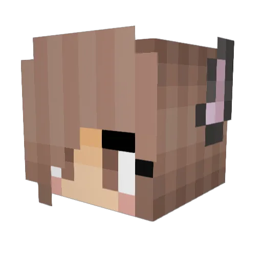 Baecry Minecraft avatar head, 3D render