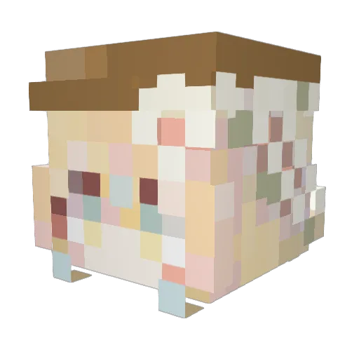 Baekya0114 Minecraft avatar head, 3D render